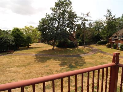 Communal Gardens/Outside